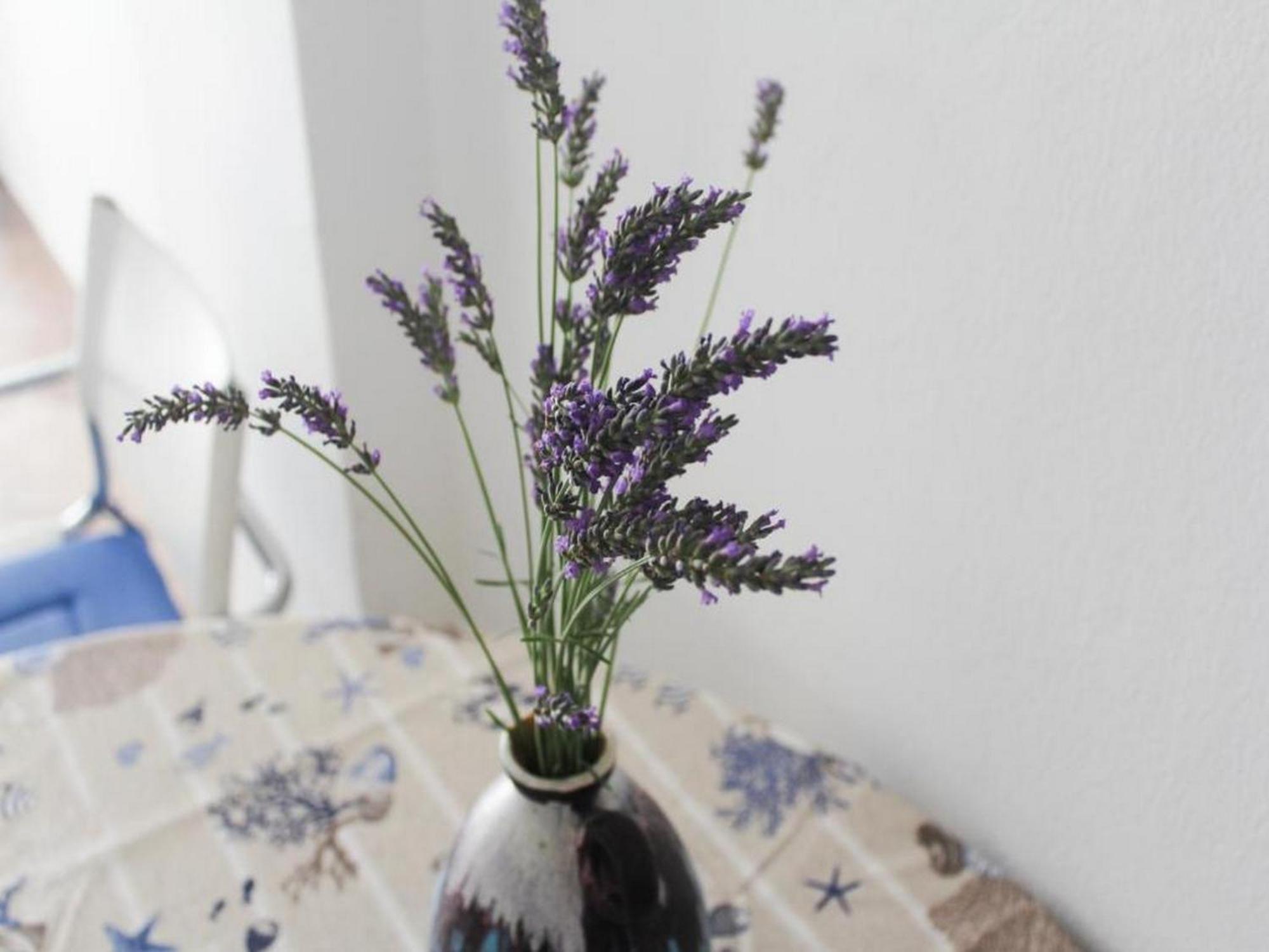 Apartmani Lucia Biograd Biograd Na Moru Pokój zdjęcie